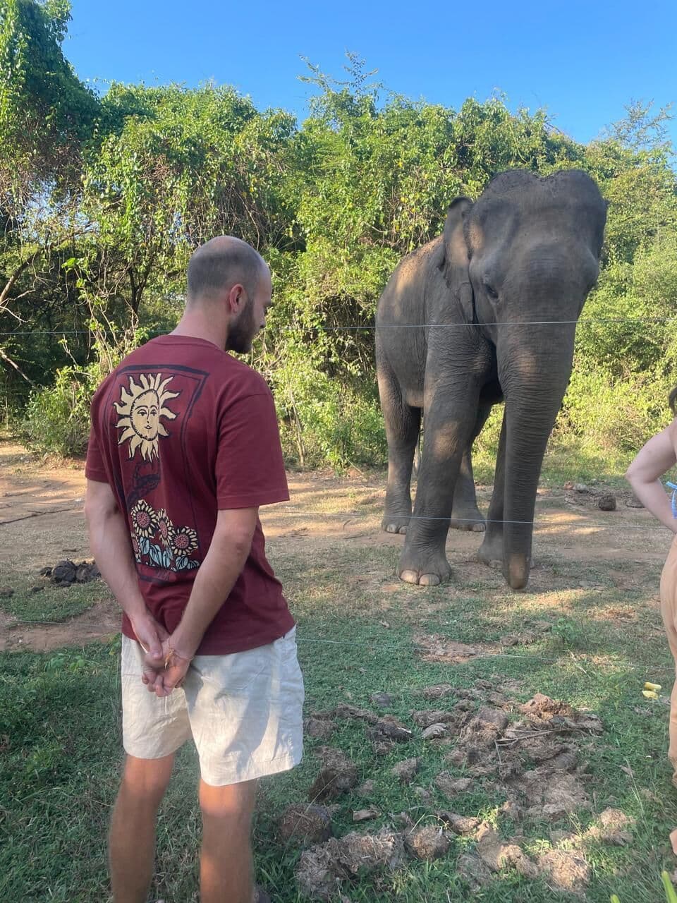 Guest standing near an elephant
